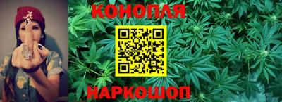 прущий лед Будённовск