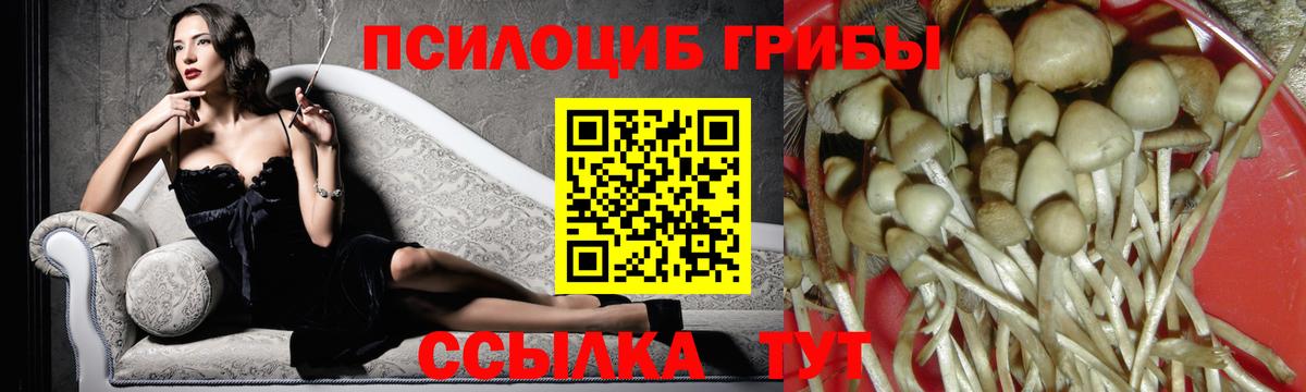 Саяногорск  Галлюциногенные грибы мицелий  как найти наркотики  Вход с VPN 